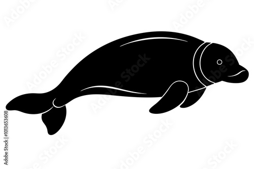  Dugong Rounded Aquatic Mammal with Flippers Floating Silhouette Vector Illustration