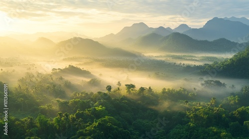 A breathtaking sunrise over a misty valley in a lush green forest, with the sun illuminating the fog and casting long shadows over the mountains in the background.