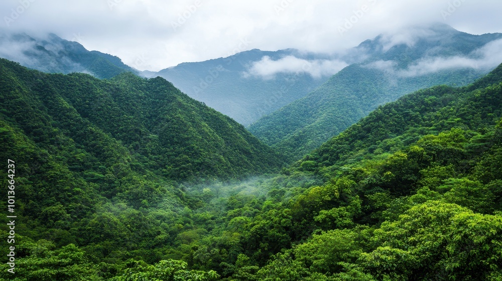 Fototapeta premium Lush green valley surrounded by mountains under a cloudy sky, showcasing the beauty of nature.