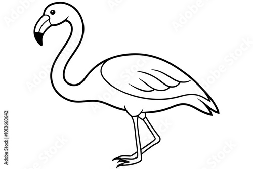 illustration of a flamingo photo