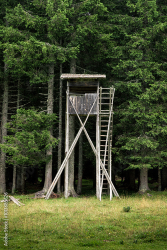 Hunting Blind in forest