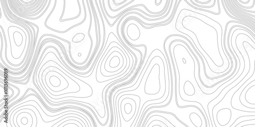 Abstract topography gray lines on white background. Topographic map contours