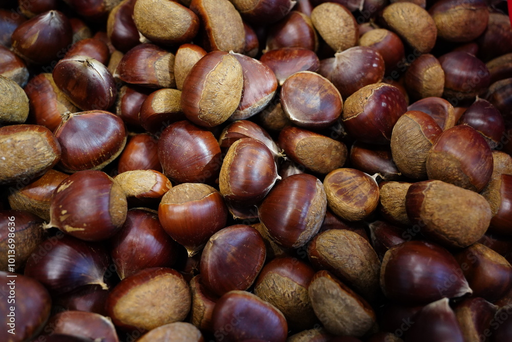 A pile full of freshly harvested chestnuts A pile full of freshly harvested chestnuts