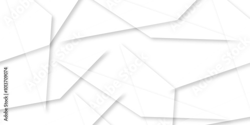 Abstract background with liens and triangles shape on white background. White and grey geometric overlapping rectangle pattern Geometric background soft shadows as patten ..White polygon textured .	

