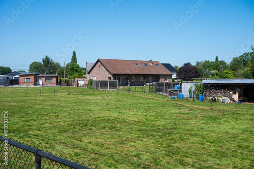 Green lawn, farmhouses, backyards and sheds in Halen, Limburg Belgium