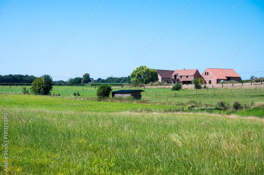 Green agriculture fields at the Flemish countryside in Kortenaken, Belgium Green agriculture fields at the Flemish countryside in Kortenaken, Belgium