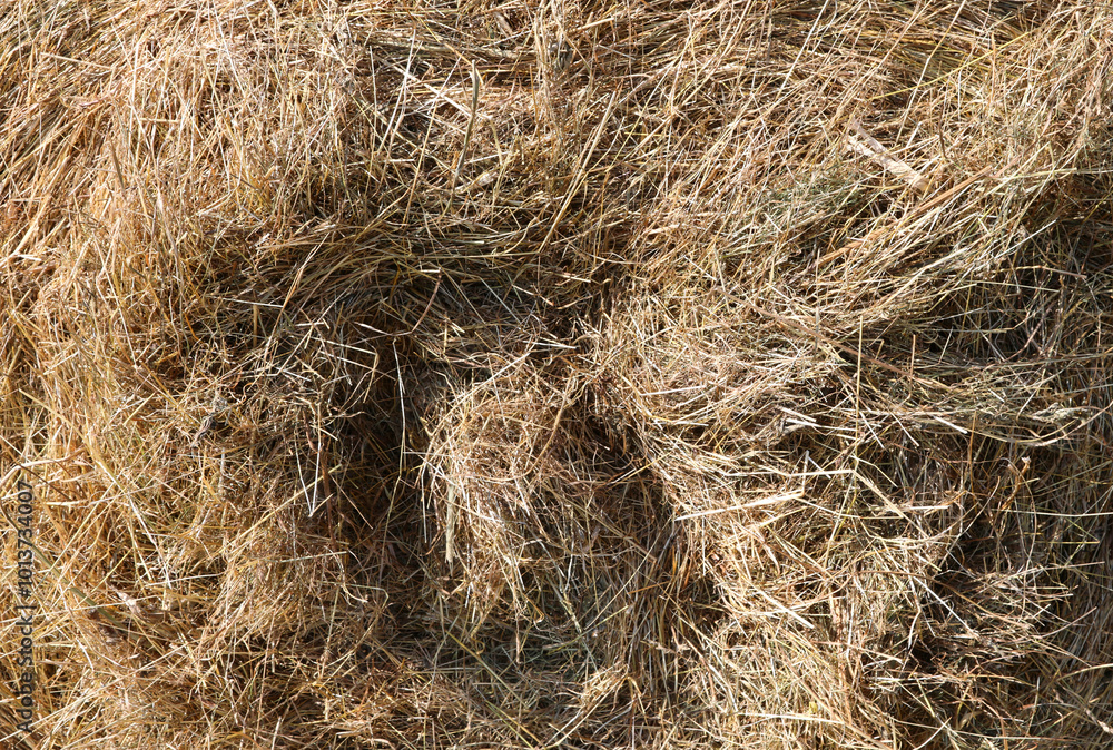 background of dry straw perfect for aromatic hay baths background of dry straw perfect for aromatic hay baths