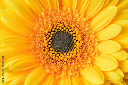 Vibrant Yellow Flower Close-Up