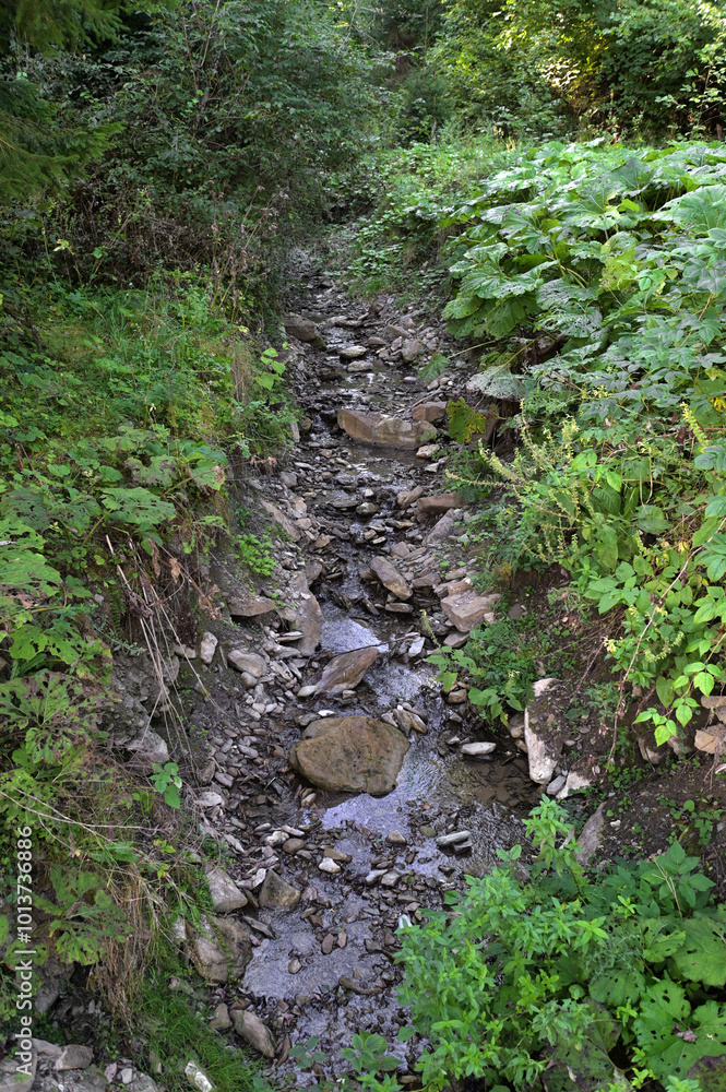 Green forest stream. Brook in nature. Green forest stream. Brook in nature.