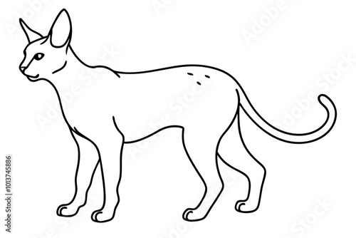 Vector Illustration of a Serval Cat Outlining Its Low Stalking Technique in Nature
