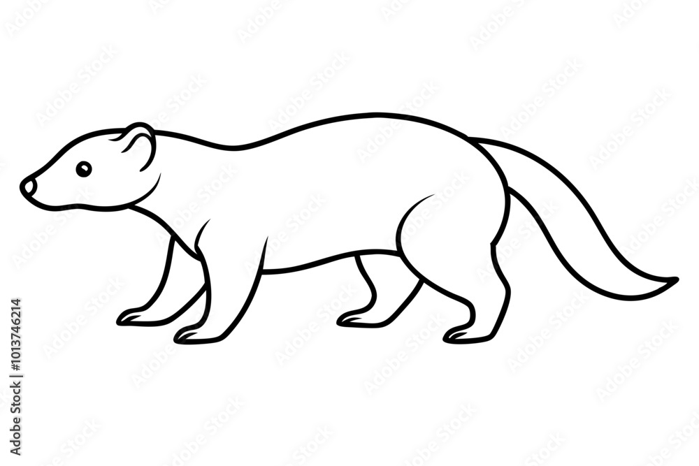 Obraz premium Creative Outline of a Honey Badger on the Move with Its Head Up Illustrated in Vector 