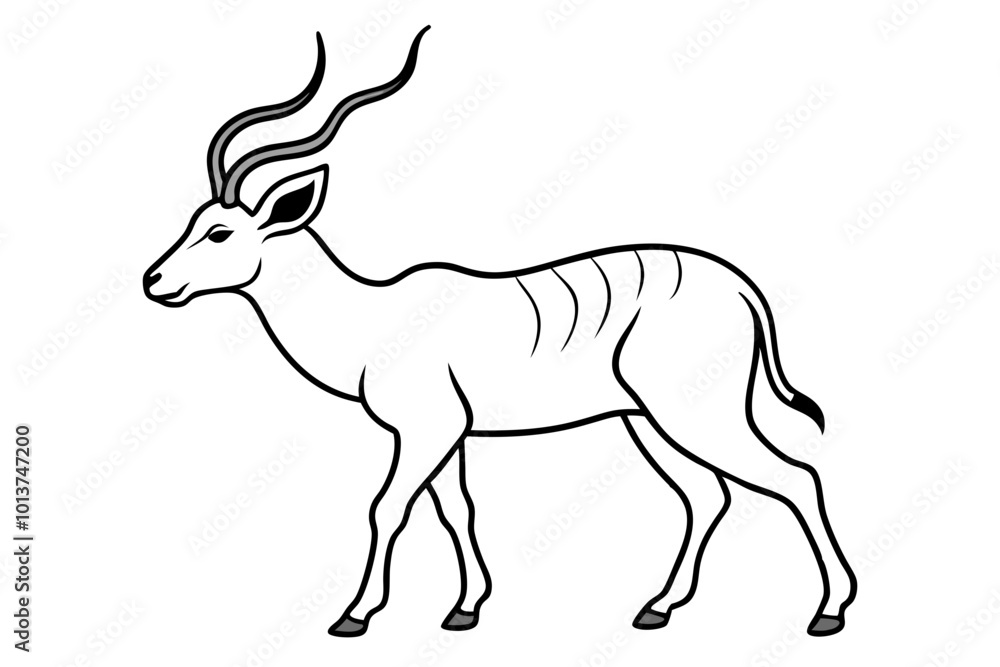 Obraz premium A Kudu Walking Gracefully in the Wild with Elegant Horns and Head Held High 