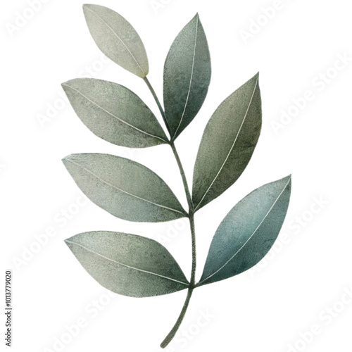 Leaves watercolor illustration isolated on transparent background.