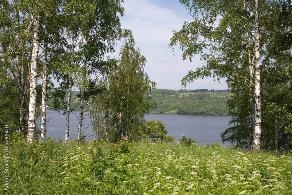 Obraz premium Russia Kostroma region View of the Volga in the Ples area on a cloudy summer day