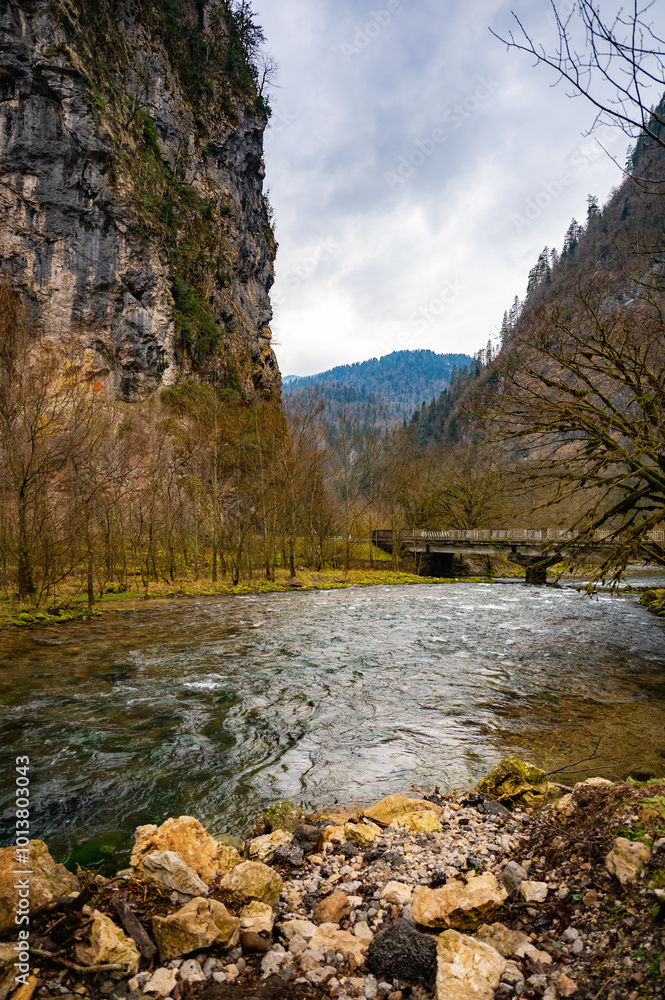 mountain river nature forest turbulent current mountain river nature forest turbulent current