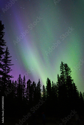 Auroras