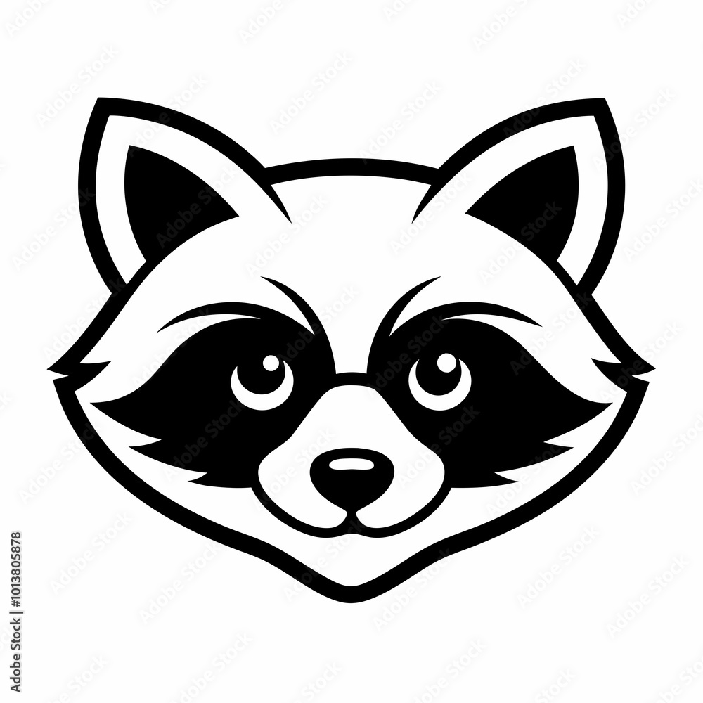 Obraz premium raccoon 