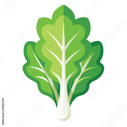 arugula vegetable original colour vector illustration 