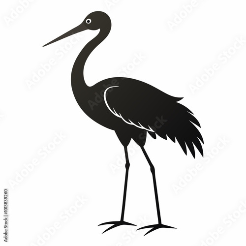 Wader Bird Elegant Shorebird Illustrations for Nature and Wildlife Projects