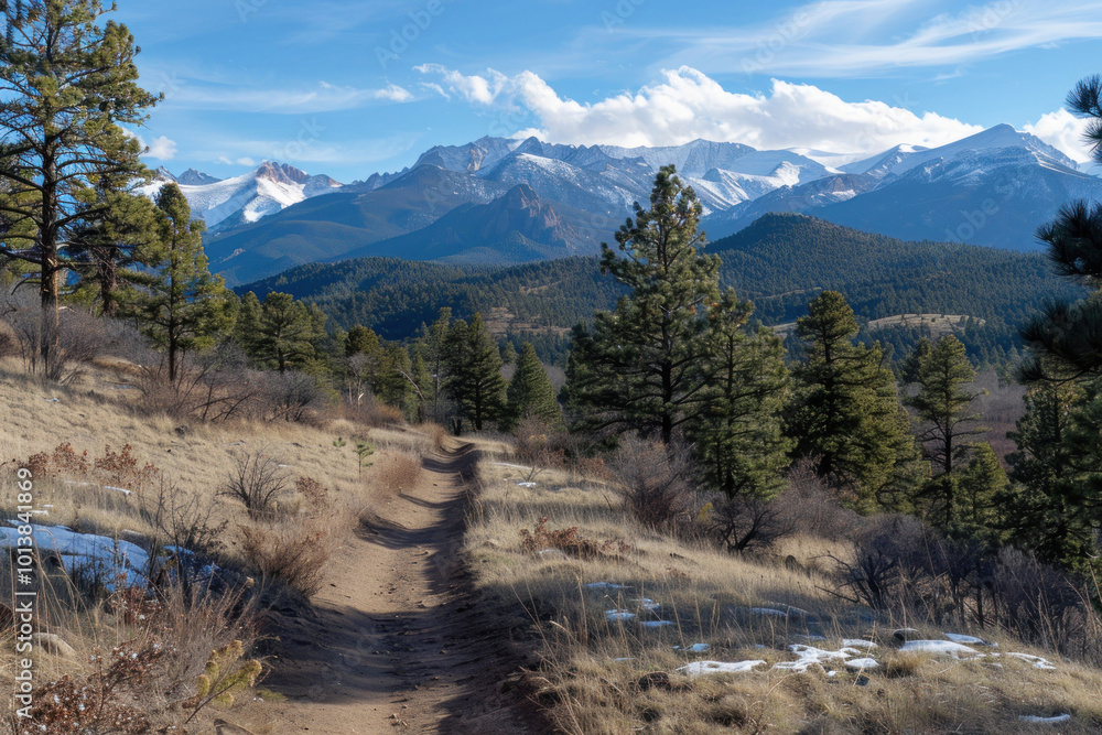 A winding hiking trail leading through pine forests with snow-capped mountains in the distance A winding hiking trail leading through pine forests with snow-capped mountains in the distance