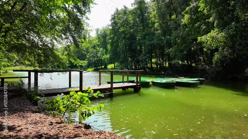 erene Afternoon by the Lake With a Wooden Dock Surrounded by Lush Greenery and Floating Platforms During Summer