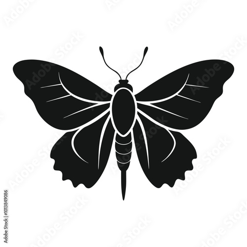 butterfly silhouette isolated on white