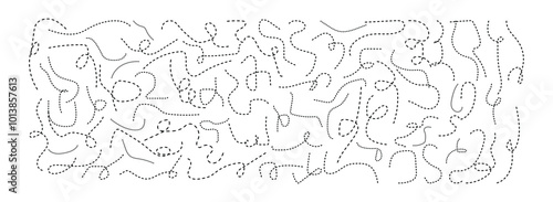 Hand drawn squiggly dashed, dotted lines, curved lines .Set of long dashed hand drawn squiggle, loopy lines. vector collection. 