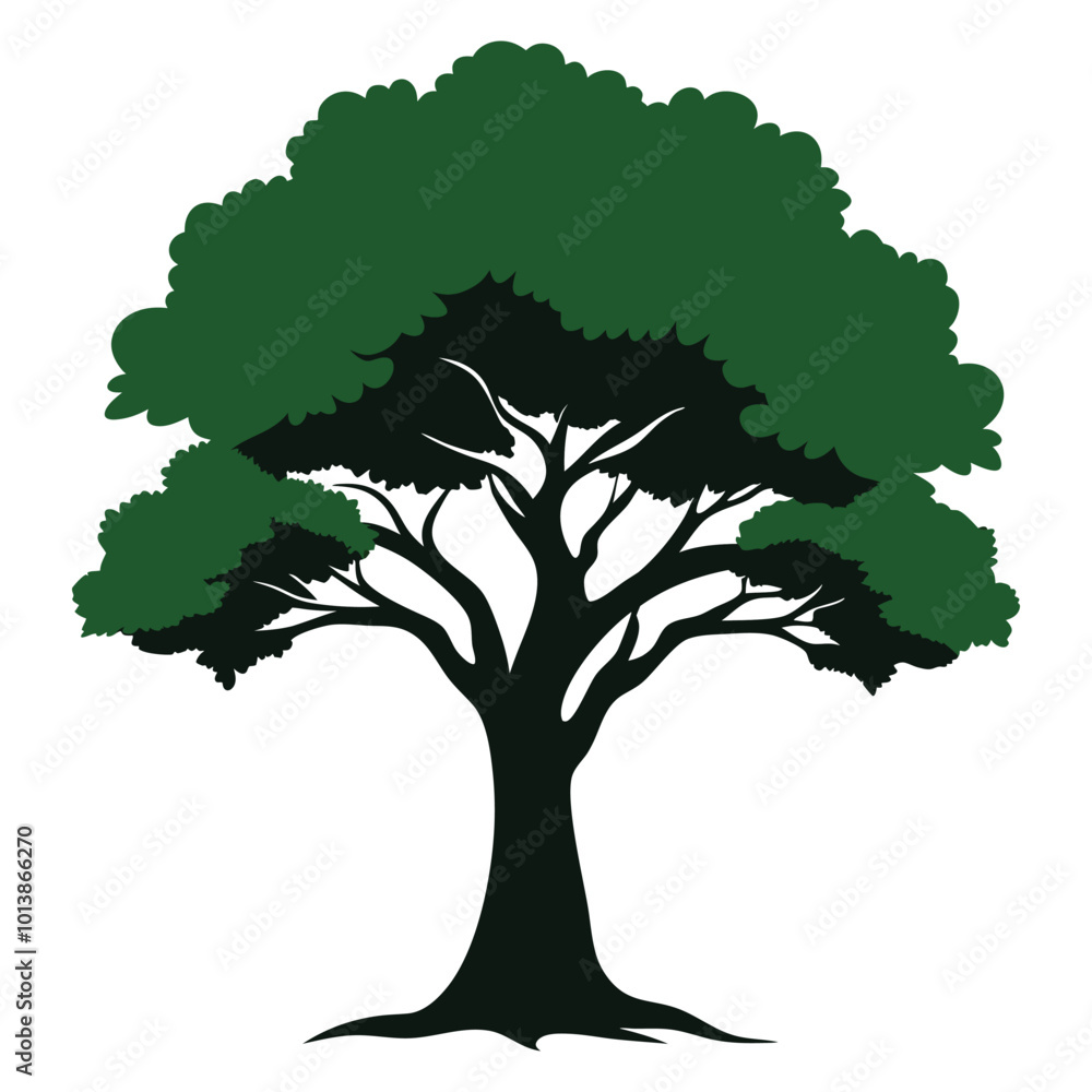 Obraz premium tree isolated on white