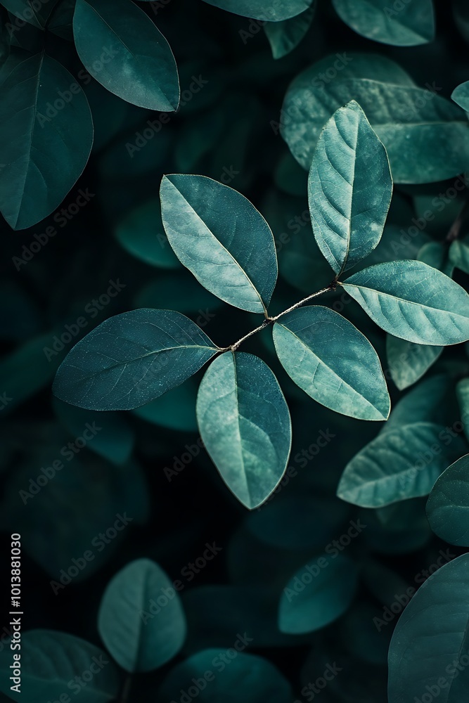 Dark Green Leaves Pattern Texture Background Dark Green Leaves Pattern Texture Background