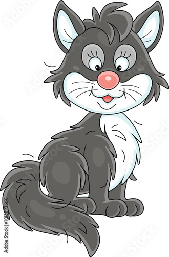 Funny black and white domestic cat with a fluffy tail, vector cartoon illustration isolated on a white background