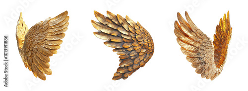 Golden feathered wings collection photo