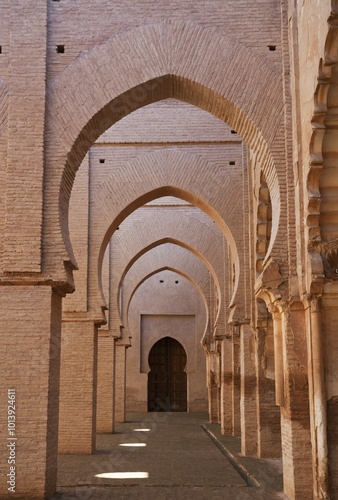 Colonnades at the now ruined and partly restored Tin Mal Mosque in the High Atlas Mountains, built by Abd El Moumen around 1153-1154, Morocco, Africa photo