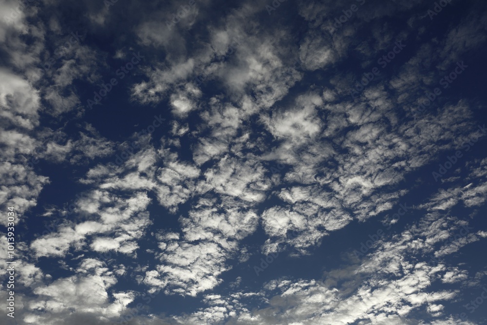 Obraz premium Feather clouds in autumn, Middle Elbe Biosphere Reserve, Dessau-Roßlau, Saxony-Anhalt, Germany, Europe