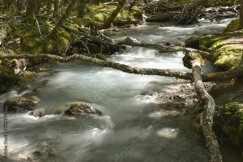 White water river through temperate jungle on the Lago del Desierto, Rio De Las Vueltas, near El Chalten, Patagonia, Argentina, South America photo