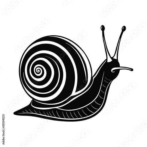 snail on the background