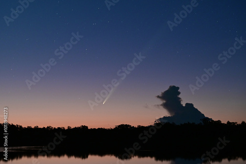 Comet Tsuchinshan-ATLAS rises in east over calm water of Nine Mile Pond in Everglades National Park, Florida in early twilight. photo