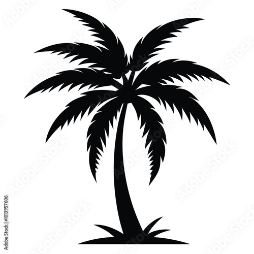 palm tree silhouette