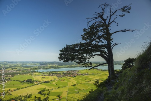 View from Tegelberg mountain massif, Füssen, Waltenhofen, lakes Forggensee and Hopfensee, Allgäu, Swabia, Bavaria, Germany, Europe photo