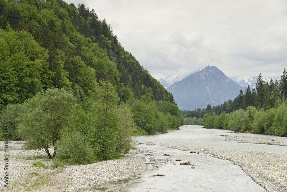 Fototapeta premium River landscape of the Iller near Fischen in the Allgäu, Allgäu Alps, Bavaria, Germany, Europe