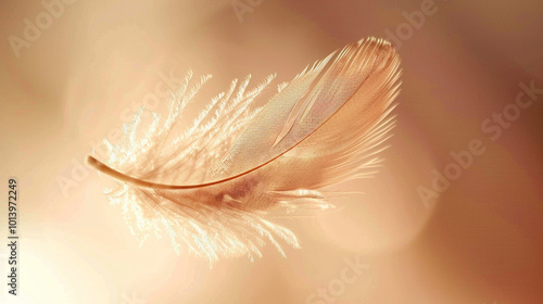 A close-up of a floating feather gently suspended in mid-air, with a soft glow highlighting its delicate structure. photo