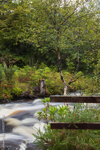 The crystal-clear water of the waterfall cascades gracefully down the moss-covered rocks, surrounded by a canopy of vibrant green trees, painting a serene and breathtakingly picturesque scene. photo