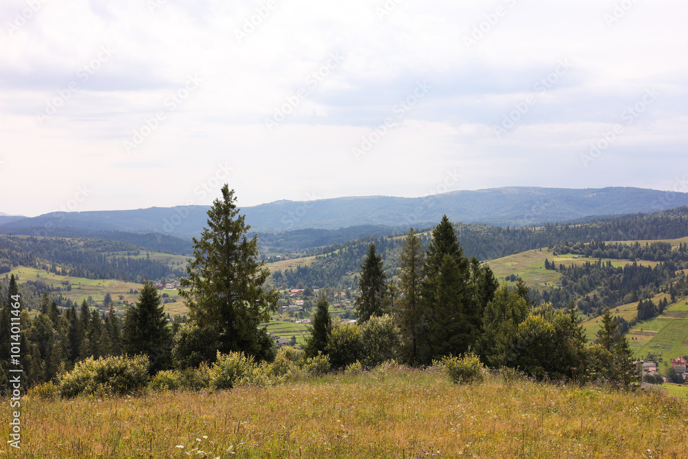 Beautiful view of forest in mountains under blue sky Beautiful view of forest in mountains under blue sky