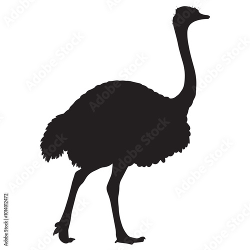 Ostrich silhouette