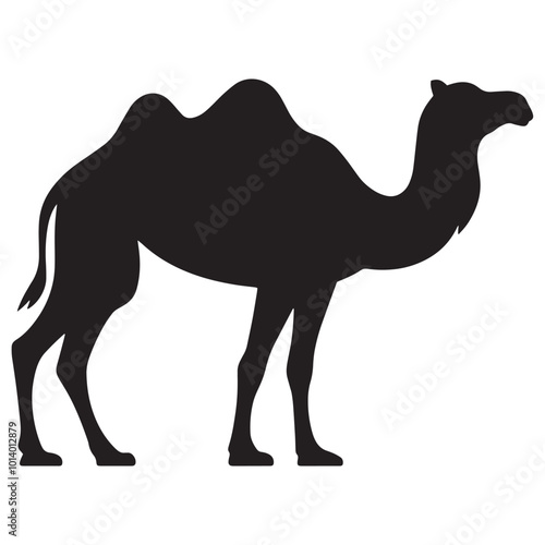 camel in desert