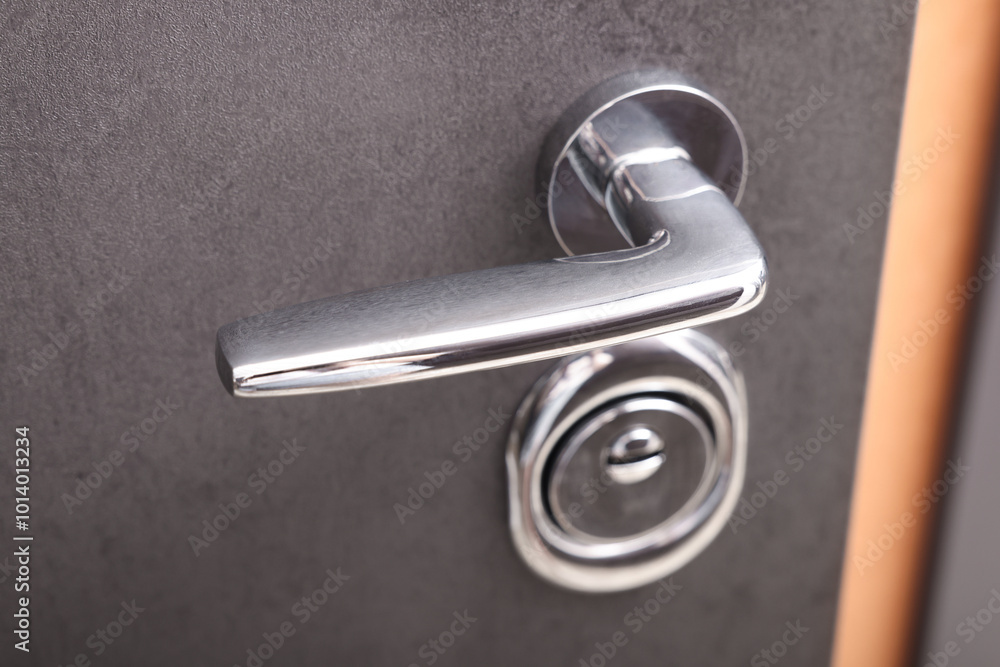 View of door with modern metal handle, closeup View of door with modern metal handle, closeup