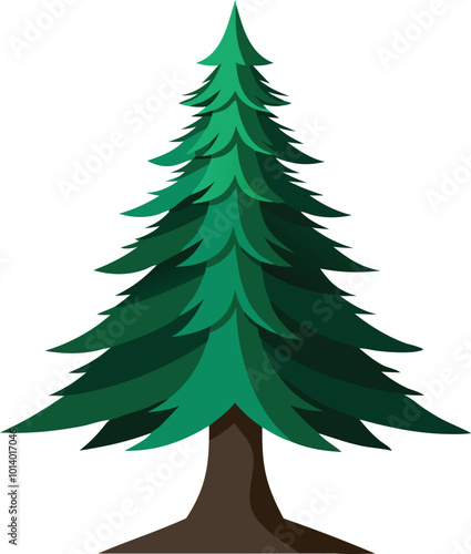 Pine tree standing tall and green, illustrated in a clean and simple cartoon style