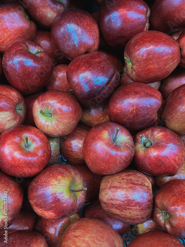 fresh organic red apples