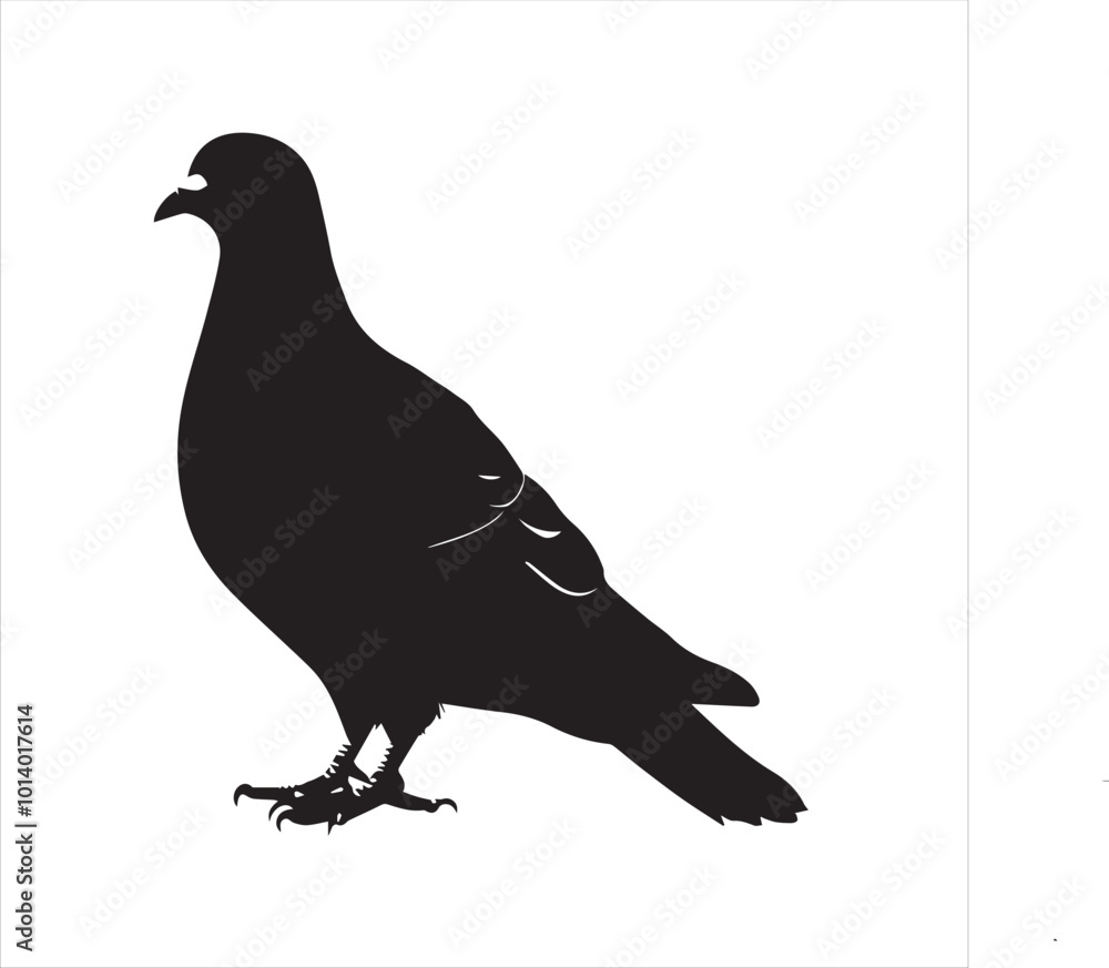 Fototapeta premium DOVE Adobe Illustrator Artwork