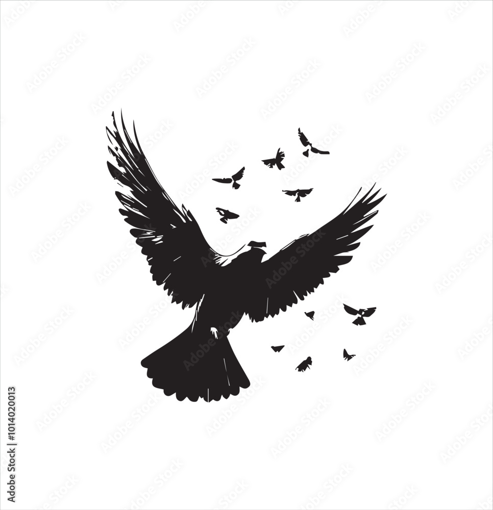 pigeon isolated on white background
