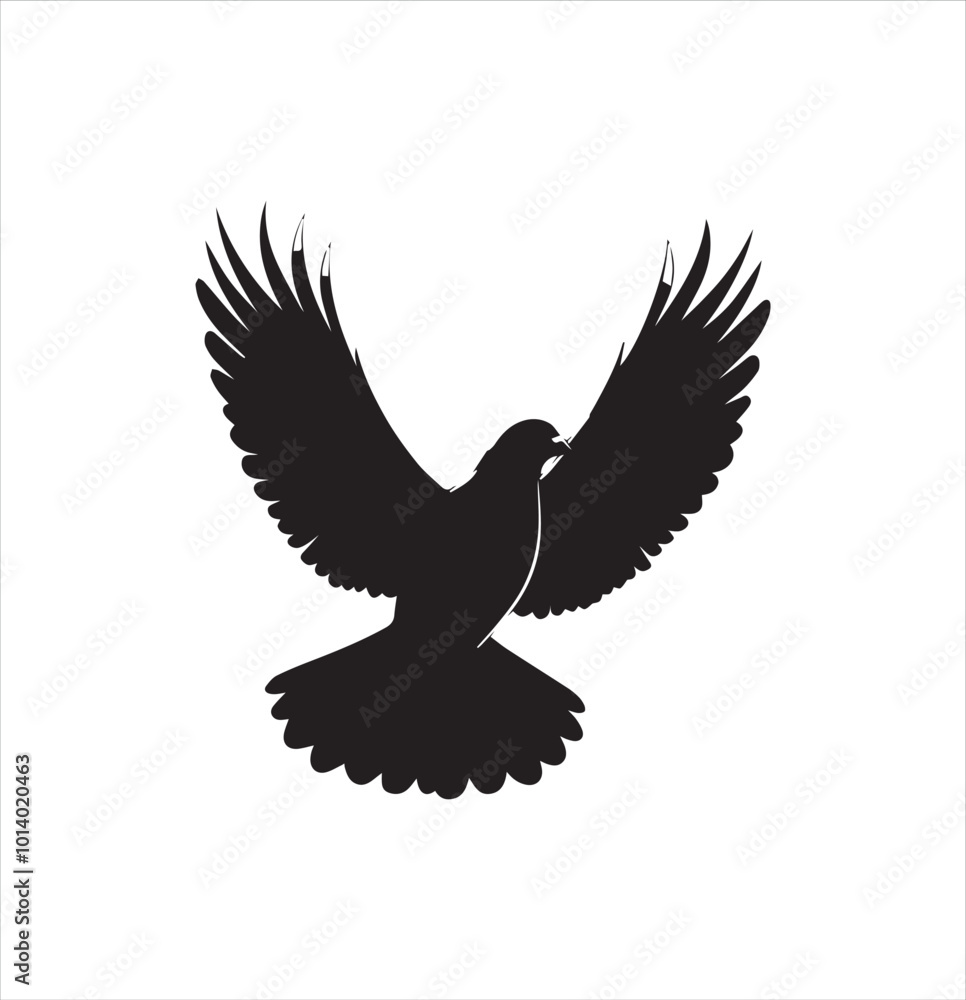 Obraz premium pigeon isolated on white background